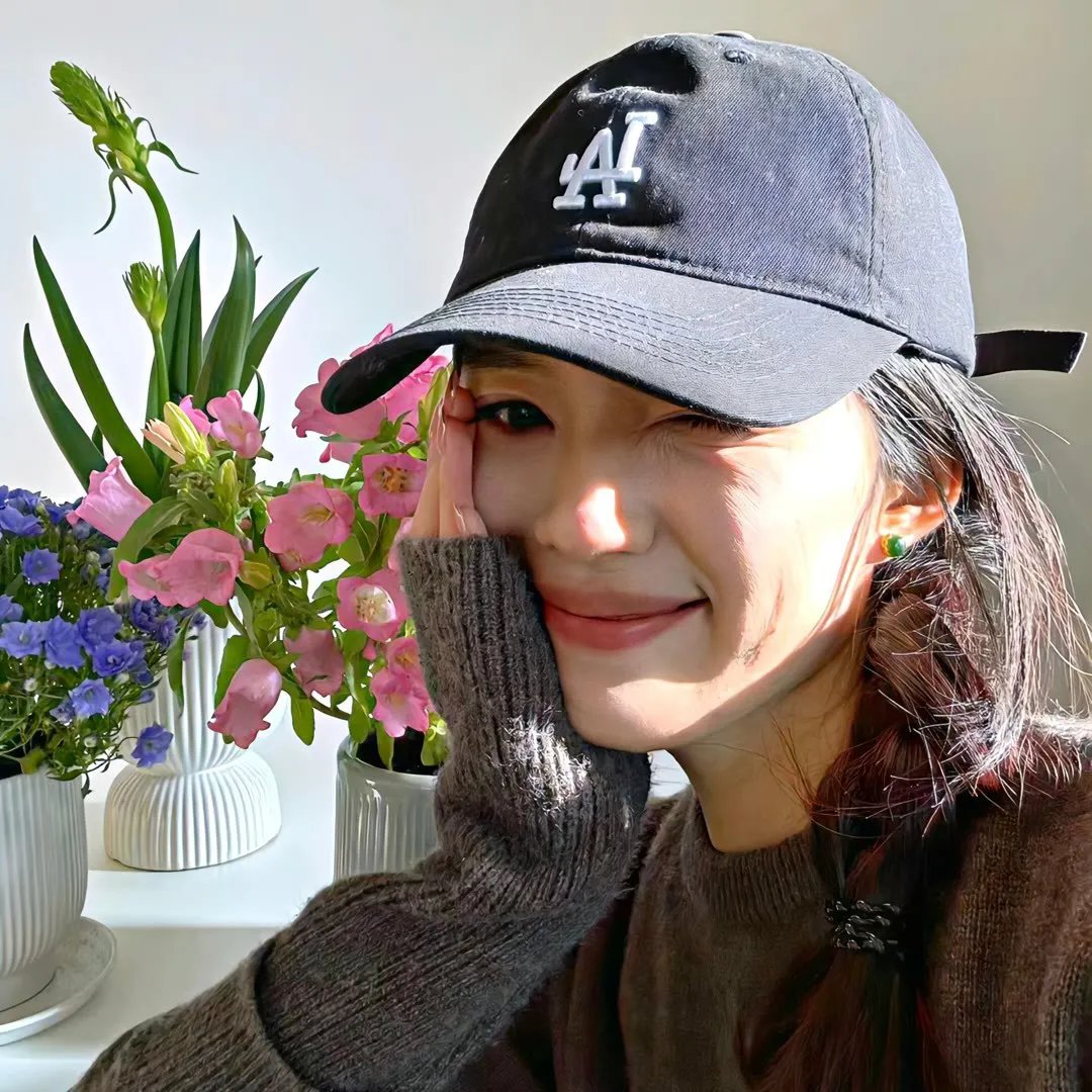 笨蛋的悲剧人生