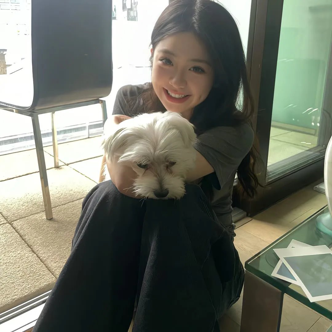 破碎的彩虹